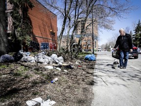Mercier- Hochealaga Maisonneuve resident Jean Pierre Pearre walks his dog along Aylwin St. on Wednesday, April 27, 2016, in Montreal. On Saturday between 9 a.m. and noon, residents will be meeting in the nearby Ruelle Alwyn alley to do a cleanup of the alley and the nearby roads on a voluntary basis