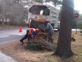 Workers in St-Lazare pick up tree branches left on the side of the road. The branches have to be stacked a certain way at the roadside, according to the rules.