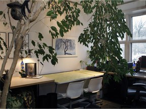 A work area, flooded with light from large windows, is beautifully filled with plants, desks, computers and a drafting board. Sandra Donaldson, a landscape architect, bought an empty space in what had been a commercial building, using the front section as a work area and the back section as her home. (Marie-France Coallier / MONTREAL GAZETTE)