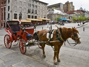 A caleche (horse-drawn carriage) in Old Montreal, May 14, 2008.