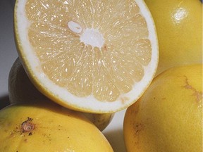 Grapefruit, some from Israel, most from the U.S., continue to be good, although the American fruit is beginning to show its age with some soft spots.