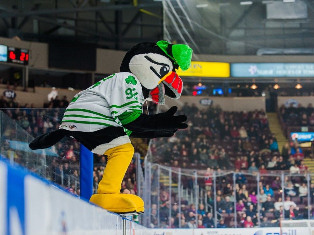 New York Jets Hug A Mascot