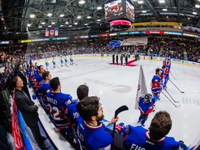 The city of St. John's has embraced the American Hockey League's IceCaps, whom locals refer to as the Baby Habs.