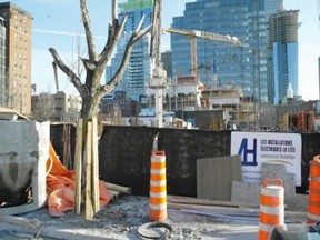 It is not permitted to cut down any city trees during the construction process, and it's also not permitted to destroy or damage them, according to Articles 28 to 32 listed in the city's code of civic conduct.