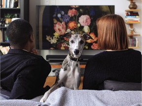 Winston the whippet enjoying some family time, just a few steps from the Lachine Canal.