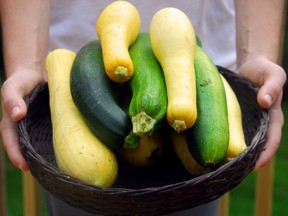Zucchini and green bell peppers from Florida are so plentiful, they are probably the bargains of the week.