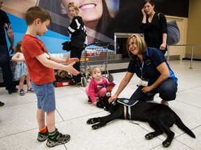 Ethan Boutilier, 5, left, and Taylor Prieham, 2, interact with Mulder, a service dog trained by Dogs With Wings who works with Bashaw and District Victims Services, as Mulder's handler, Holly Buelow, right, looks on at the Edmonton International Airport.