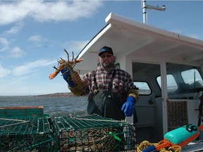Lobster fisherman O'Neil Cloutier shows off his catch.