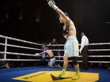 Batyr Jukembayev, in blue trunks, reacts after knocking down Kamil Wybaniec for the third time in the first round at the second edition of the Fight Club Series at Metropolis in Montreal, Friday, May 13, 2016.