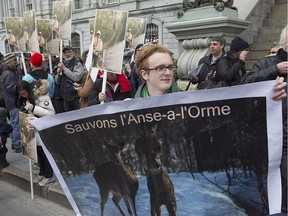 Protesters outside Montreal city hall to help save l'Anse-à-l'Orme, prior to Montreal City Hall council meeting on Monday, May 16, 2016. (Pierre Obendrauf / MONTREAL GAZETTE)
