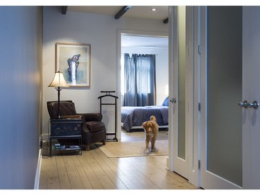 Alfie makes his way from the master bedroom through the reading / relaxation area on the second floor, in the house of Kimberlie Robert, located on Knox street on Tuesday May 3, 2016. (Pierre Obendrauf / MONTREAL GAZETTE) ORG XMIT: 55935 - 0001