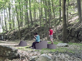 A reasonably cultured, informed citizen shouldn’t feel uncouth for questioning the worth of granite faux tree stumps that the city plans to scatter across Mount Royal.