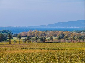 Rosé accounts for an overwhelming percentage of the Provence region's production, and deserves to be considered a "serious" wine.