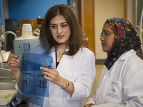 Dr. Arezu Jahani-Asl (left) confers with her lab assistant Takrima Haque at the Jewish General Hospital's Lady Davis Institute in Montreal Friday, April 29, 2016.  Jahani-Asl is studying glioblastoma, the deadly brain cancer with no cure.