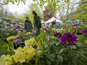 Horticultural and garden clubs offer shows, workshops and sales over the next two weeks.