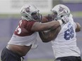 Vaughn Martin, left, and Philip Blake at training camp on Sunday: "Any time you can still play football as a job, that's just a blessing," says Martin.