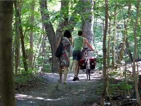 In summer, there are countless little jogging/walking trails slicing through the woods on Mount Royal, where people take shortcuts off the winding gravel road.