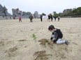 Julian Norris tends to some tufts of grass as protesters calling themselves 'Friends of Rutherford Park' move on across the sand-covered field at the park in Montreal on Saturday, June 11, 2016. They were protesting against plans by city to put a synthetic turf field on the park and give McGill favourable hours.