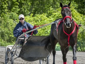 Jessica Turenne trains with her horse Shaelas Girl, in Legardeur, northeast of Montreal, on Friday, June 3, 2016. Jessica Turenne's father, Serge Turenne, died in a harness racing accident at Hippodrome Trois-Rivières 15 years ago this weekend. She was 5 when it happened and doesn't remember him much, but she wants to follow in his footsteps and become a horse racer.