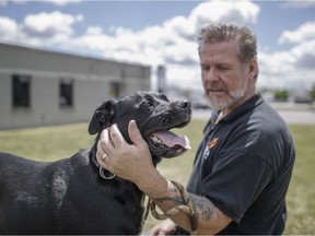 The recent panic over pit bull attacks and a jump in the number of pets abandoned every July are reason enough for the premier to take comprehensive action on animal welfare sooner rather than later, Dan Delmar writes.