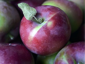 While Quebec apples are great to eat, Bill Zacharkiw says, drinking them can be just as fun.
