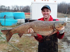 Tommy Goszewski, a technician with the U.S. Geological Survey, holds a grass carp taken from a pond at an agency lab in Columbia, Mo., in spring 2013.