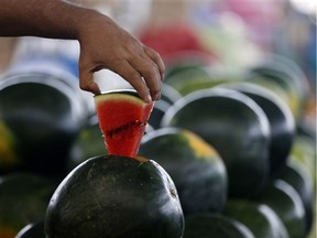 Watermelons from Georgia are on their way to Quebec at reasonable prices.