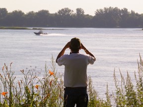 A passerby watches an SQ boat on the St-Lawrence River in 2016.
