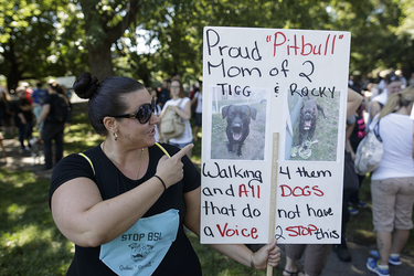 Tina Daddio, owner of two pit bull dogs, shows her sign as she gathers along with other dog owners at Pelican Park to take part in a protest against breed-specific legislation for dogs in Montreal on Saturday, July 16, 2016. The demonstration was against the recent proposed bans on pit bull dogs in Quebec after a series of high profile attacks.
