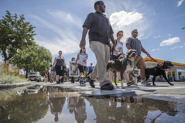 People take part in a protest against breed-specific legislation for dogs at Pelican Park in Montreal on Saturday, July 16, 2016. The demonstration was against the recent proposed bans on pit bull dogs in Quebec after a series of high profile attacks.