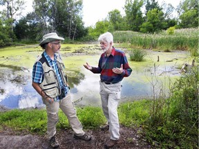 Long-time bird watcher Joel Coutu, left and David Fletcher, vice-president of the Green Coalition have a conversation next to a marsh in the Saint-Laurent borough of Montreal Tuesday July 19, 2016.  Marshes and wildlife that are threatened by the extension of Alfred Nobel Blvd. in the  borough in Montreal.