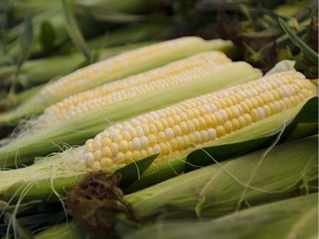 Fresh corn on the cob from Atwater Market keeps well for several days.