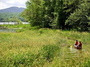 MONTREAL, QUE: May 31, 2011 -- Yamaska National Park, for a Short Hops article by Rene Bruemmer./ Credit: Mathieu Dupuis, Sépaq    (Handout)  (TRA)