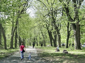 Artist rendering of granite pieces planned for Mount Royal as part of Montreal's 375th anniversary.