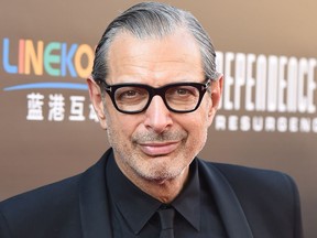 Actor Jeff Goldblum at  the première of  Independence Day: Resurgence on June 20, 2016 in Hollywood, California.