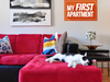 The cat chillin' in the living room of Florence Nadeau and Sarah-Maude Biron's apartment.