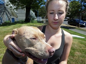 Kyla Grover and Bandida were injured after a cat attacked a group of seven dogs in Saanich on Monday, Aug. 15, 2016