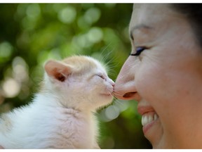 A woman touches noses with a kitten during a stray cat adoption event organized by the Streetcats volunteer association in an attempt to reduce the number of abandoned cats roaming the street in Bucharest, Romania, Sunday, Aug. 24, 2014.