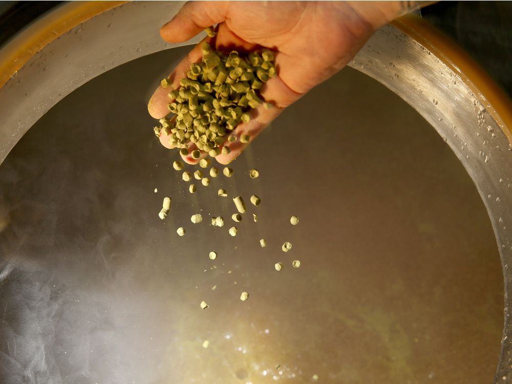 The Right Chemistry Beer hops and phytoestrogens over the years