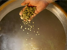 Hops are added to beer to keep it from spoiling. They are also often found in dietary supplements that are claimed to enhance breast size.