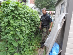 Montreal Police officer Patrick Masse carries a baton as he looks through backyards for a missing python behind Willibrord Ave. in the Verdun borough of Montreal, Tuesday, Aug. 30, 2016.