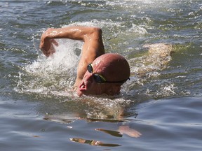 Normand Piché swims in the St. Lawrence River in LaSalle, Tuesday Aug. 2, 2016 during a photo op to announce the start of his trip to swim around the world. In one month he will begin the trip on which he will swim 100km in 80 days, across different waterways on 5 continemnts.
