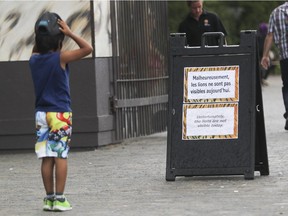 A visitor stops at a Granby Zoo entrance sign indicating the lion exhibit is closed Monday, August 8, 2016. A worker was attacked and injured by lion earlier in the day.