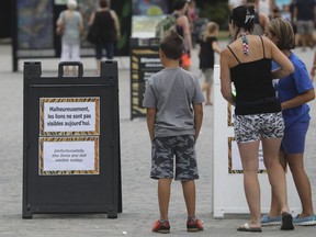 People look at a sign at the entrance of the Granby Zoo in Granby near  Montreal Monday, August 8, 2016 announcing that lions would not be available for viewing. A worker was attacked and injured by lion earlier in the day.