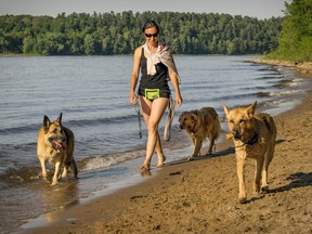 A woman walks dogs along Sandy Beach in Hudson. (Gazette file photo)