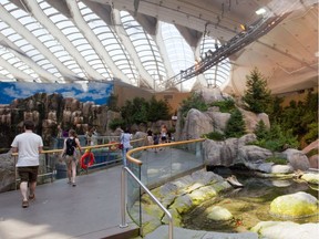 A view of the Gulf of St. Lawrence marine Eco system at the Biodôme in Montreal on Friday, June 8, 2012.