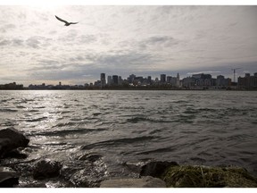 The St. Lawrence River looking onto Montreal's downtown core is seen in this file photo. Valérie Plante promises to improve water quality in the river and allow Montrealers to enjoy the shoreline and water sports.