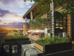 The new Andaz Ottawa Byward Market features a striking rooftop lounge.