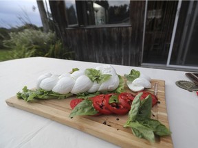 At Jason Fuoco's farm, ingredients for a classic insalata caprese: slices of mozzarella di bufala, thick slices of garden fresh tomatoes and fresh basil leaves.