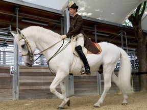 Hannah Zeitlhofer rides a horse after her inauguration as the first female horse trainer at the Spanish Riding School in Vienna, Austria, Wednesday, Sept. 14, 2016.